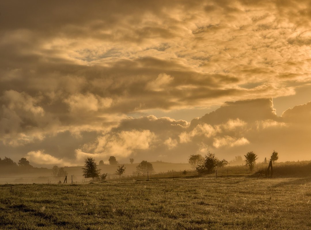 Examples of Vintage 'Good Morning Monday' Practices