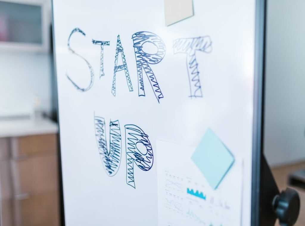 startups capital markets