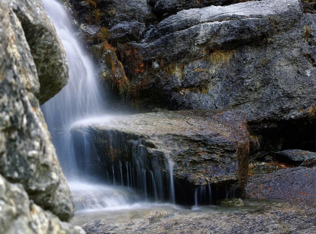 the iron claw torrent